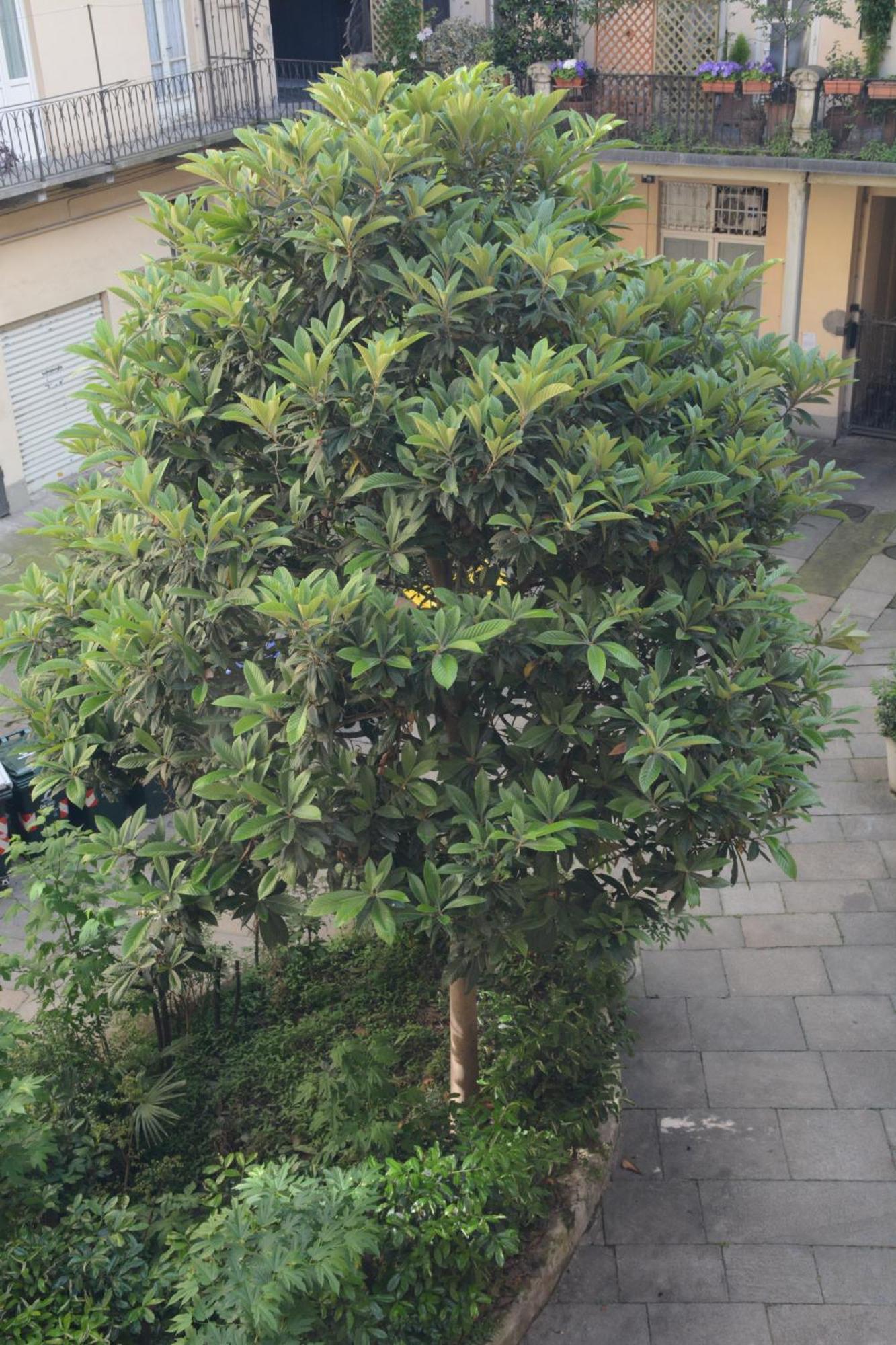 Apartamento Regina 68 Turín